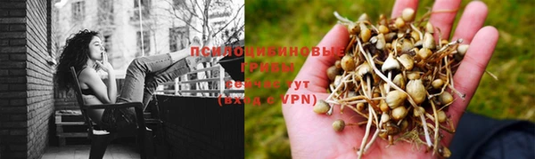MESCALINE Абаза