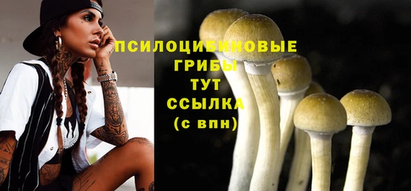 молекула духа Медвежьегорск